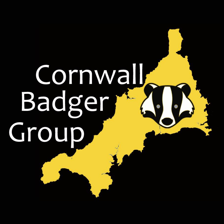 Cornwall badge group logo