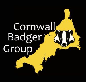 Cornwall badge group logo